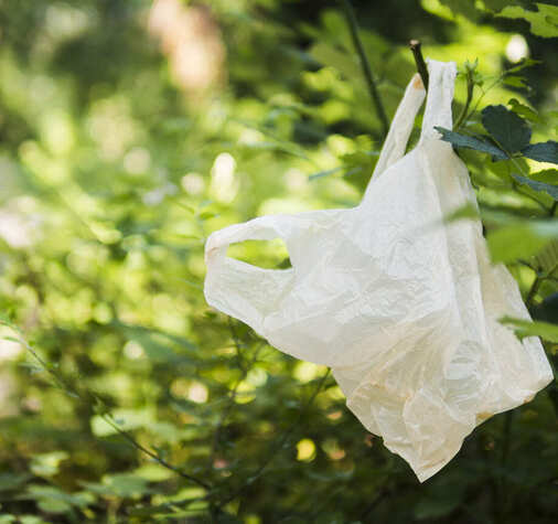 plastic-bag